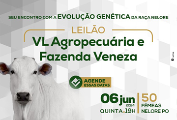 LEILÃO VL AGROPECUÁRIA E FAZENDA VENEZA - FÊMEAS NELORE PO